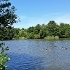 Lakeside Nature Reserve