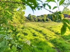 Green field at Merrow Common